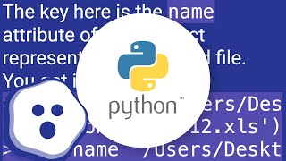 Get path from open file in Python