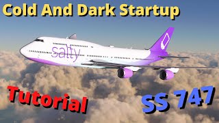 Salty Simulations 747 COLD AND DARK STARTUP TUTORIAL | MSFS2020