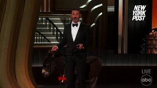 Jenny the Donkey and Colin Farrell become 2023 Oscars meme | Page Six Celebrity News