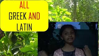 12. ALL GREEK AND LATIN by SURYAANSH and NIVEDITHA