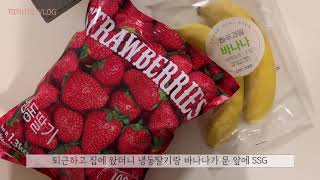 [차리녜] Daily Vlog_리녜의 평범한 3월의 일상로그 #1 | 퇴근 후 일상, 딸바스무디🍓, 남편도시락, 한강뷰 집들이🏠