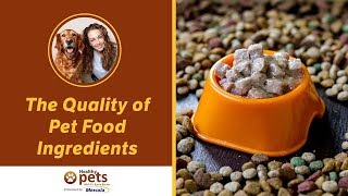 The Quality of Pet Food Ingredients (Part 2 of 2)