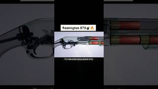 Remington 870 Shotgun: Reliable Pump-Action Power Explained