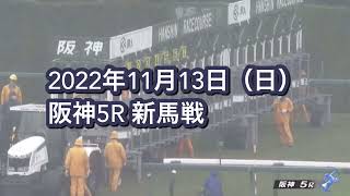 2022年11月13日（日）阪神5R 2歳新馬レース映像