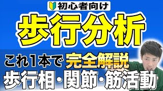 【治療家向け】知識ゼロでもわかる！『歩行分析』　これだけで、歩行分析の基礎から臨床で見方まで徹底解説