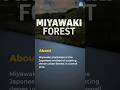 Miyawaki Forest: Miyawaki Plantation Method of Afforestation | UPSC | NEXT IAS