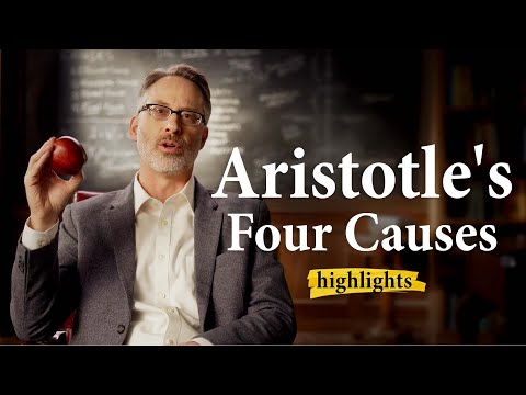 What are the 4 causes according to Aristotle?