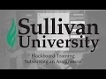 Blackboard Tutorial - Submitting an Assignment