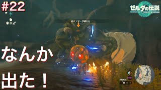 【#22】底抜けの洞窟 ライクライクいた！[ゼルダの伝説 ティアーズ オブ ザ キングダム]