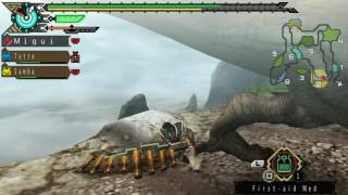 Monster Hunter Portable 3rd HD - Queen Dancing in the Mountain