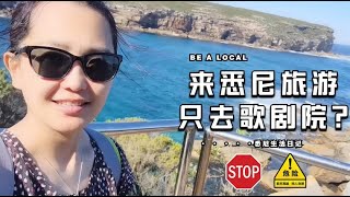 悉尼南郊皇家国家公园风景很赞Wottamolla Beach One Day Trip