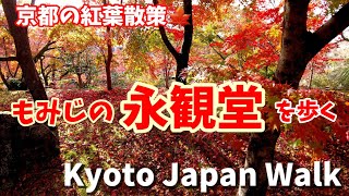 Kyoto Japan walk! /Eikando-Temple with beautiful autumn leaves/永観堂の紅葉/November 24 2022