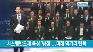 시스템반도체 육성 '방점'