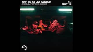 Mix GATO DE NOCHE Reggaeton Previa Verano 2023 | DJ RITMO