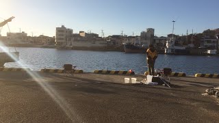 【城ヶ島・三崎港】北条湾釣行 2019年2月2日～新たな釣りのお供トンビといつものメンバーと共に～