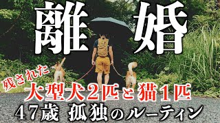 離婚 １４年連れ添った妻に離婚を言い渡されました...