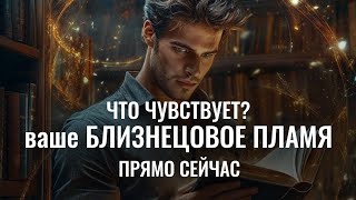 Что чувствует ваше БЛИЗНЕЦОВОЕ ПЛАМЯ ПРЯМО СЕЙЧАС?