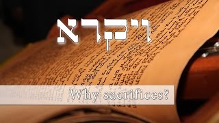 Parashat Vayikra - What is the sacrifice in my life? - Rabbi Alon Anava