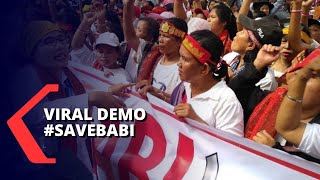 Tolak Pemusnahan, Peternak Babi Gelar Aksi #SaveBabi