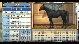 #100【ダビスタ】シローアトラスを育て直して獲得賞金３０億と凱旋門賞を目指す！ 終わったらBC  switch