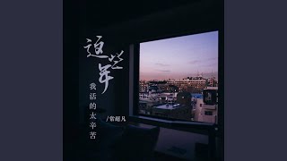 这些年我活的太辛苦 (DJ版)