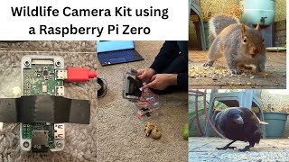 Raspberry Pi Zero. Nature Camera.  Wildlife Camera.