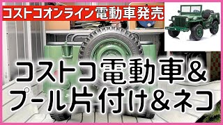 #370 フレームプール撤去 コストコオンラインに電動車登場 ねこ対策のその後　ジープ　ミニタリーカー