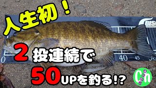 冬最強ワームを使えば誰でも50アップが釣れる!!【冬】【12月】【11月】【ブラックバス】【川バス】【釣れるワーム】【セコ釣り】【釣り方】【攻略】【Black bass】