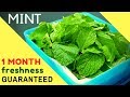 How to Store Pudina/Mint leaves for 1 MONTH I Preserve Pudina/Mint leaves