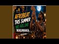 AFROBEAT THIS SUMMER WE ARE ONE WAKA  WAKA