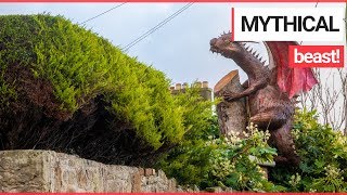 Astonishing 8ft DRAGON Sculpture was 'Flown' into a Quaint Back Garden