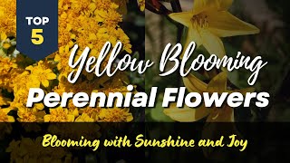 TOP 5 Yellow Perennial Flowers -🌼🌻🌞  Blooming with Sunshine and Joy!