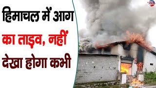 हिमाचल में आग का ताड़व, नहीं देखा होगा कभी | Fire | Shahpur | Kangra |