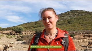 Elodie, éleveuse dans les Alpilles #1