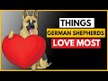 10 Things German Shepherds Love the Most