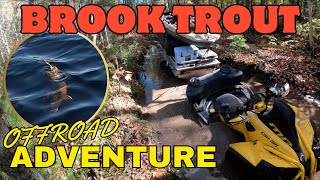 Brook Trout Fishing and camping adventure