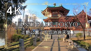 4K【上野公園】【不忍池弁天堂】ぶらぶら散歩 uenopark tokyo japan