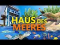 Haus des Meeres (Wien) - Ein ganz besonderes Aquarium | Zoo-Eindruck