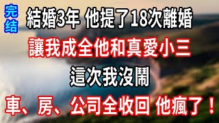 完結版！ 結婚3年 他提了18次離婚，讓我成全他和真愛小三，這次我沒鬧，送他的車、房、公司全收回 他瘋了！#小說#情感故事