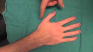 Overview of Hand Anatomy