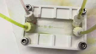 uFluidic Device Test: Direction 2
