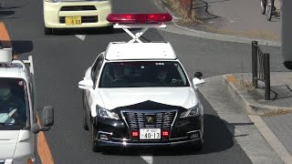 パトカー緊急走行【158】大阪府警　北堺警察署３号【Japanese Police car】