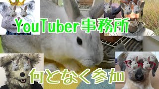 アニマルステージに加入しますわ～【うさぎのUSAGIN】Rabbit Queen