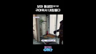 [보아] 닥터 차정숙 귀엽게 말하기 1위 #댄스가수유랑단