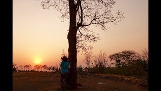 Dehna, Maharashtra: A farm to table experience near Mumbai.