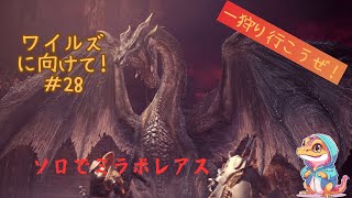 ワイルズに向けて#28　ミラボレアスソロ討伐！【モンハンワールド：アイスボーン】steam版