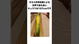 きゅうりのこと知ってる？#雑学 #豆知識#shorts