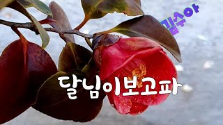 달님김수아.가사첨부.영상촬영이재도님