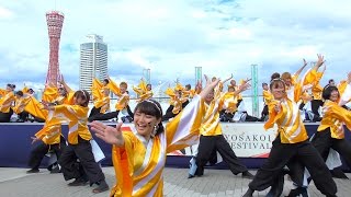 香川大学よさこい連 風華 2016年度 第17回 神戸よさこいまつり 1日目　高浜岸壁