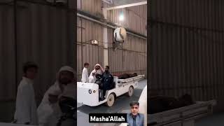 Mashallah #love #worldcup #madina #shortvideo #makkah #saudiarabia #pakistan #madinah #duet